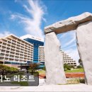 카페델피노 인근 | [강원도 호텔/추천/후기/가격] 델피노 리조트 델피노 리조트, 설악의 정원을 만나보세요