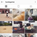 훈트가르텐 이미지