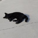 쌍둥이 농장 이미지