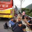 파래소 가든 이미지