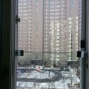 금창유리 이미지