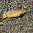 백달낚시터 이미지