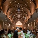 플로우데이 이미지