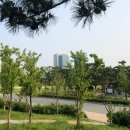 (주)송도공원 이미지