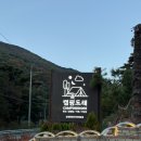 도래재로 | 대구 근교 1박 2일 여행 경남 밀양 펜션 글램핑 추천 | 캠핑도래