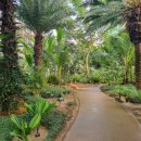 부천호수식물원 수피아 이미지