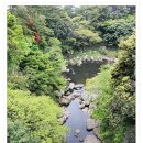 인기드라마 "추노"의 촬영지 난대림 지역의 천연기념물 -제주안덕계곡 이미지