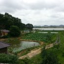 산방농장 - 서천군 칠지길109번길 38-5 | 산방농장