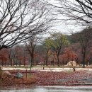 설악동자동차야영장 이미지