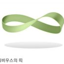 비사채 이미지