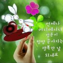 멋진 이미지