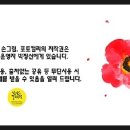 마음 품은 캘리그라피 이미지