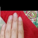 솜네일(Somnail)