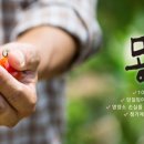 과일소쿠리
