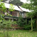 이랑이네 이미지