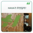 HAHA맞춤운동센터 이미지