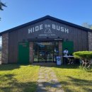 하이드온부쉬 이미지