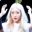 화이트헤어 네이버블로그