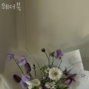 웨더북 이미지