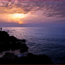 닭머르해안길 이미지