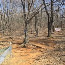 부평구 비타민길 이미지