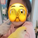 리프패럿 - 수원시 권선구 덕영대로1201번길 22 | 리프패럿