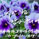 광일공인중개사사무소 이미지