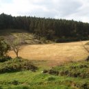 수당목장 이미지