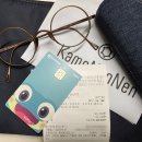 디옵트안경원 | 경기지역화폐로 가메만넨 안경 구입 수원페이 혜택