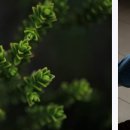 쭈빠삐무녜뇨 이미지