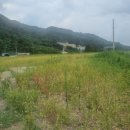 D00135 네이버블로그