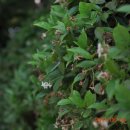 팔용산 테마공원 이미지