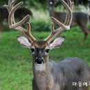 마음에꽃한의원 이미지