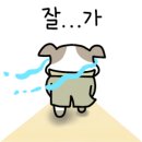 카페카모