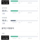 돌핀짐