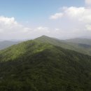 솔마을펜션 이미지