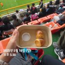 드디어 포항 에스코트 키즈에 당첨되었다! / K리그1 14R 포항 vs 광주