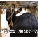 용만농장 이미지