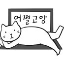 미나미글로벌 네이버블로그