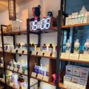 라비쉬독 이미지