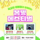 봄빛 이미지