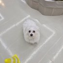 더개편한세상
