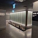 정편백 이미지