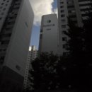 안남로206번길 이미지