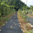 한우리펜션 이미지