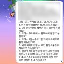 𓂃˚‧ W6-1 𓆸 웨딩스냅 : 지음 제주스냅 계약 후기 (지음X유아오X바질 패키지)