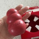 콩(KONG) | KONG 콩장난감 트레이까지 써본 리얼 사용기 (댕댕이 집중력 미쳤어요)