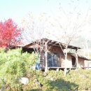 전국민박 이미지