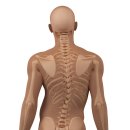 엘에스한방병원 이미지