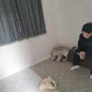 돌스냅 한옥스튜디오 해하랑 돌사진 촬영 후기 25.03 촬영팁(내돈내산)